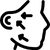 Temporal Lift (Şakak Germe)